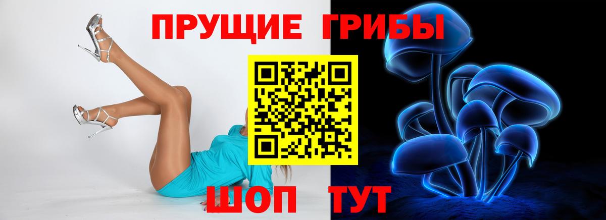 Галлюциногенные грибы MAGIC MUSHROOMS  Псилоцибиновые грибы Psilocybe  Ялта  Вход с VPN 